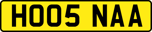 HO05NAA