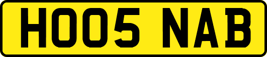 HO05NAB
