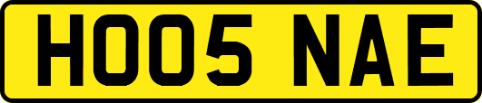 HO05NAE