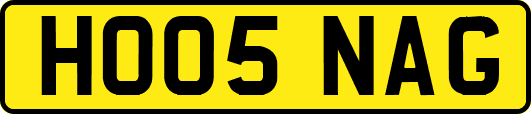 HO05NAG