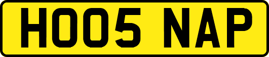 HO05NAP