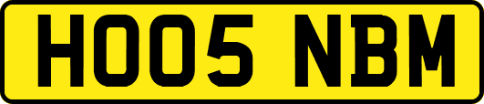 HO05NBM