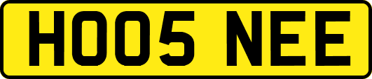 HO05NEE