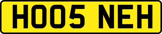 HO05NEH
