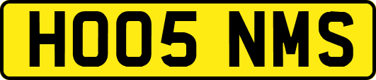 HO05NMS