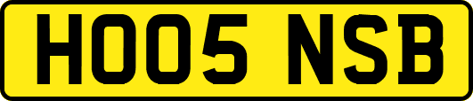 HO05NSB