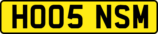 HO05NSM