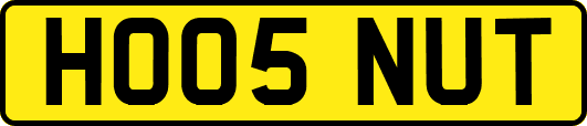 HO05NUT