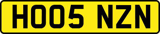 HO05NZN