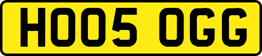 HO05OGG