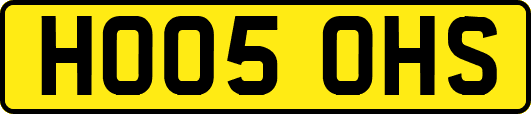 HO05OHS