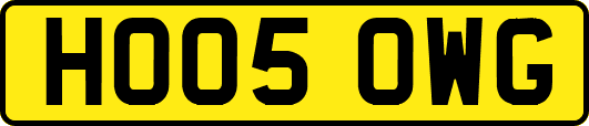 HO05OWG