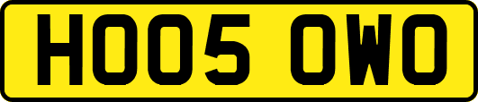 HO05OWO