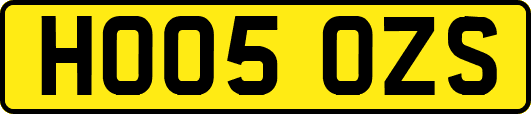 HO05OZS