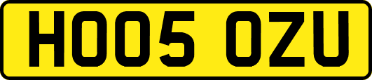 HO05OZU