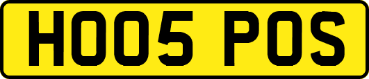 HO05POS
