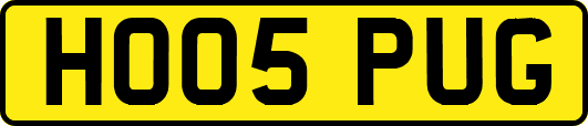 HO05PUG