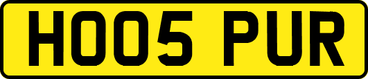 HO05PUR