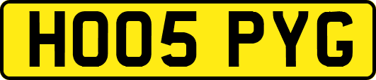 HO05PYG