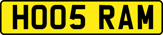 HO05RAM