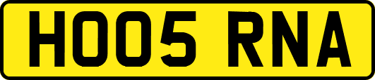 HO05RNA