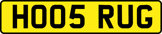 HO05RUG