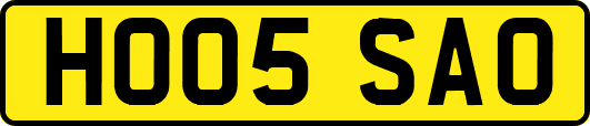 HO05SAO
