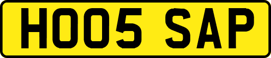 HO05SAP