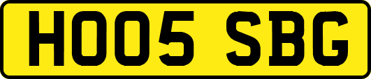 HO05SBG