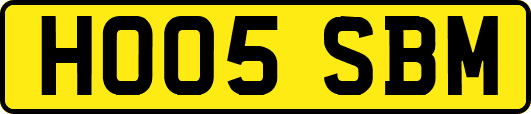 HO05SBM