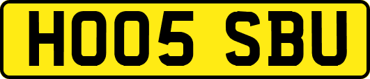 HO05SBU