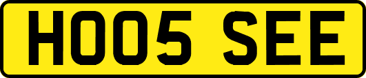 HO05SEE