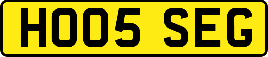 HO05SEG