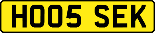 HO05SEK