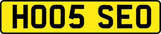 HO05SEO