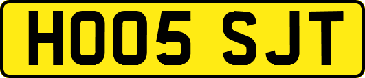 HO05SJT