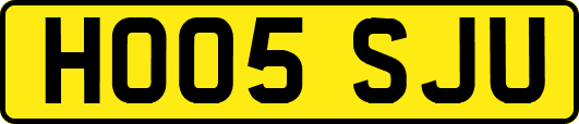 HO05SJU