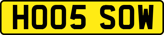 HO05SOW
