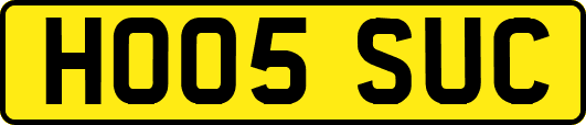 HO05SUC