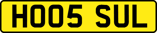 HO05SUL