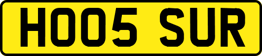 HO05SUR
