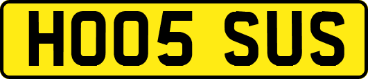 HO05SUS