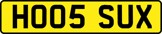 HO05SUX