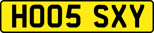 HO05SXY