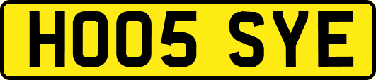 HO05SYE