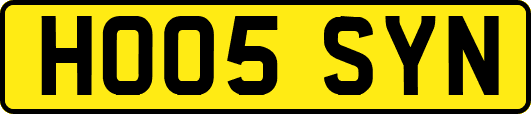 HO05SYN