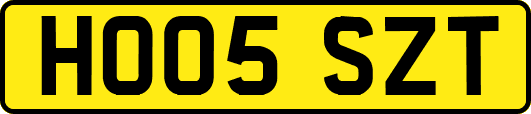 HO05SZT