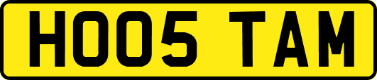 HO05TAM