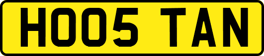 HO05TAN