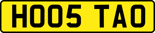 HO05TAO